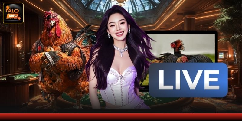 Chia sẻ kinh nghiệm cho thành viên mới