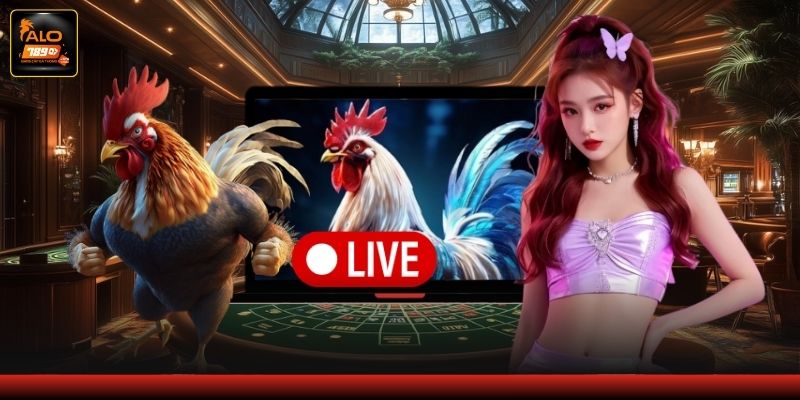 Những ưu điểm nổi bật thu hút thành viên