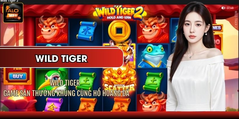 Wild Tiger - Game Săn Thưởng Khủng Cùng Hổ Hoang Dã